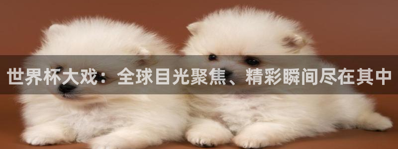 世界杯欧洲预选赛赛程：世界杯大戏：全球目光聚焦、精彩瞬间尽在其中