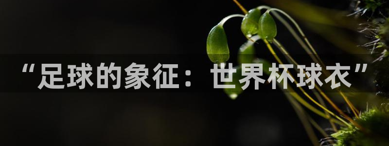 世界杯欧洲区预选赛：“足球的象征：世界杯球衣”