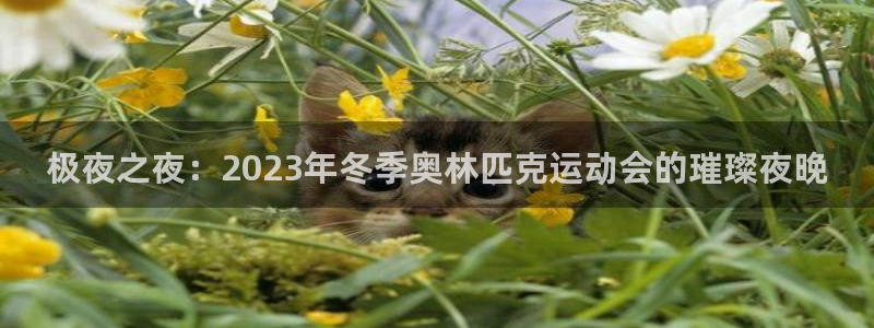 世界杯球队：极夜之夜：2023年冬季奥林匹克运动会的璀璨夜晚