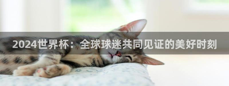 2026世预赛全部赛程：2024世界杯：全球球迷共同见证的美好时刻