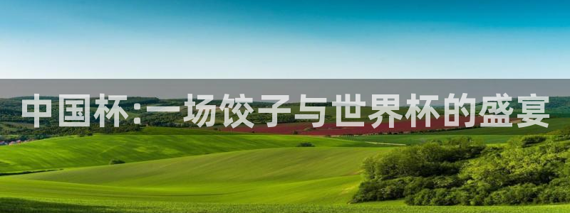 2026男足世界杯:中国杯:一场饺子与世界杯的盛宴
