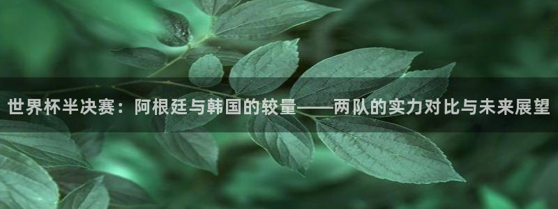 2026世界杯赛:世界杯半决赛:阿根廷与韩国的较量——两队的实力对比与未来展望