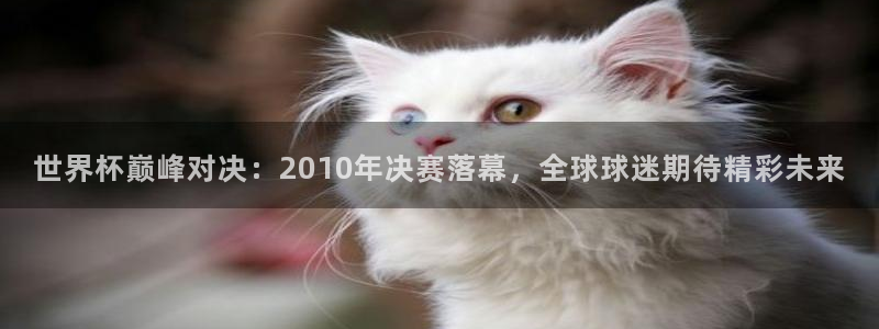 2026世界杯赛:世界杯巅峰对决:2010年决赛落幕,全球球迷期待精彩未来