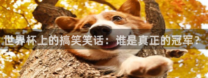 世界杯预选赛赛程:世界杯上的搞笑笑话:谁是真正的冠军?