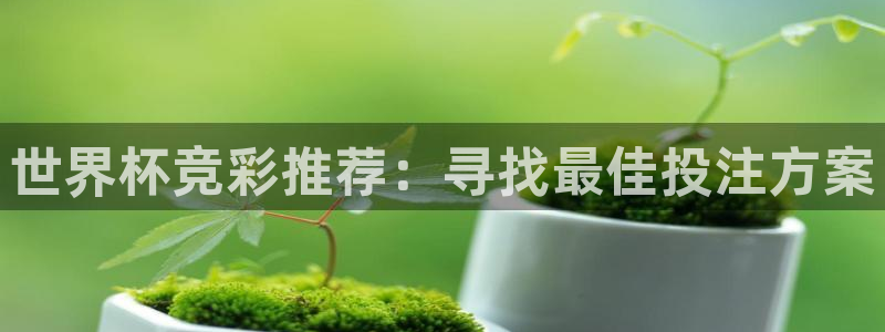 世界杯预选赛规则:世界杯竞彩推荐:寻找最佳投注方案