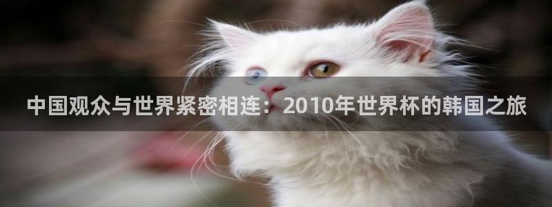 世界杯16强赛程表:中国观众与世界紧密相连:2010年世界杯的韩国之旅