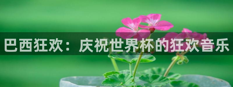 世界杯预选赛欧洲区赛程:巴西狂欢:庆祝世界杯的狂欢音乐