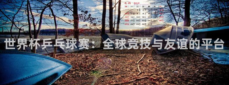 英格兰联赛杯直播:世界杯乒乓球赛:全球竞技与友谊的平台
